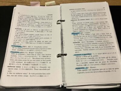 ポルトガル語 スラング 俗語 辞書